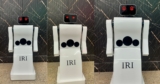 Exploring the World of Advanced Robotics: A Case for Introducing Beginner-Friendly Robots in Schools